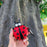 Ladybug Silicone AirPods Case - phosos store